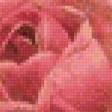 Предпросмотр схемы вышивки «Розы» (№87880)