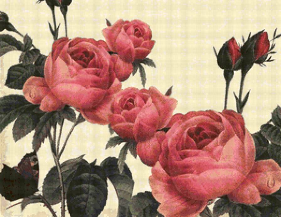 Розы - розы, розочки, подушка, цветы, душистые розы, бутоны, роза - предпросмотр