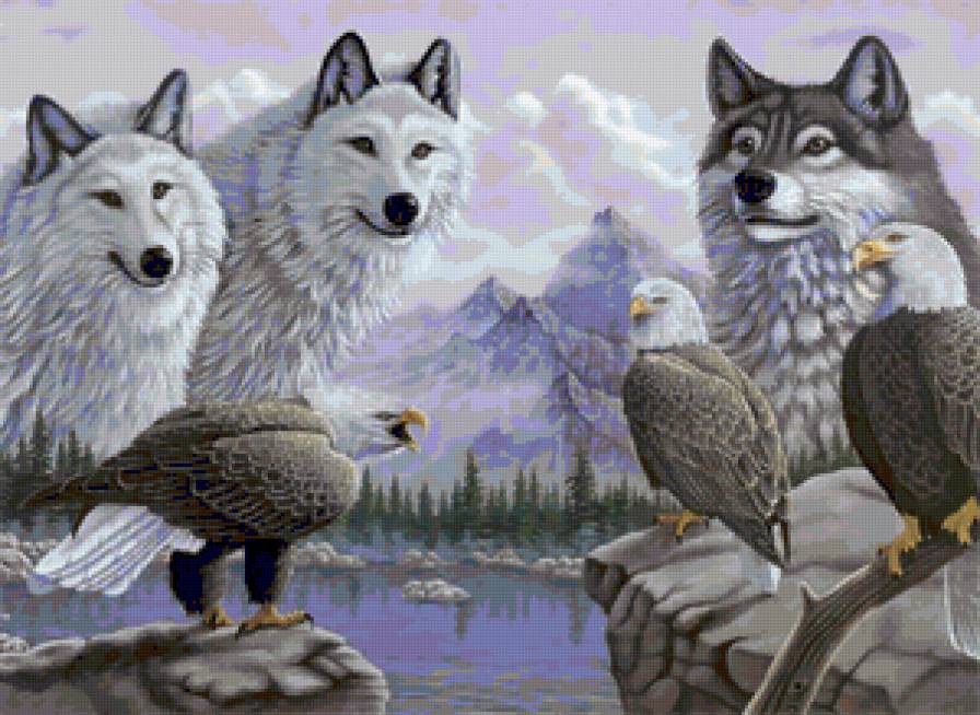 Волки и орлы - орел, птицы, горы, животные, волки - предпросмотр