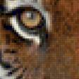 Предпросмотр схемы вышивки «Тигр притаился» (№88126)