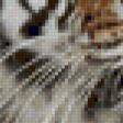 Предпросмотр схемы вышивки «Тигр под снегопадом» (№88138)