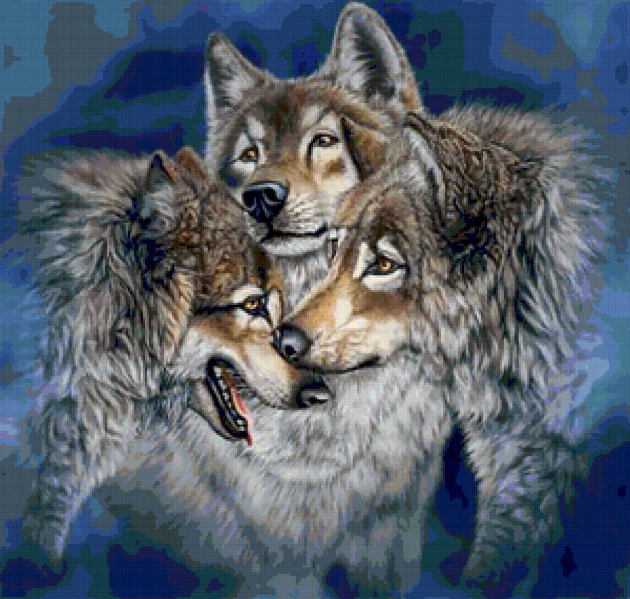 Волки - животные, дружба, семья, волки - предпросмотр
