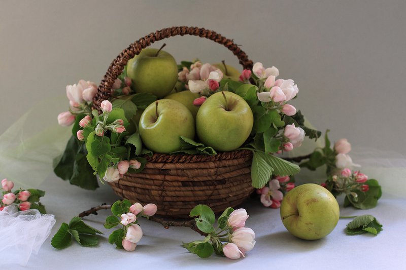 Яблоки в корзине - цветы, фрукты, натюрморт, яблоки, корзина - оригинал