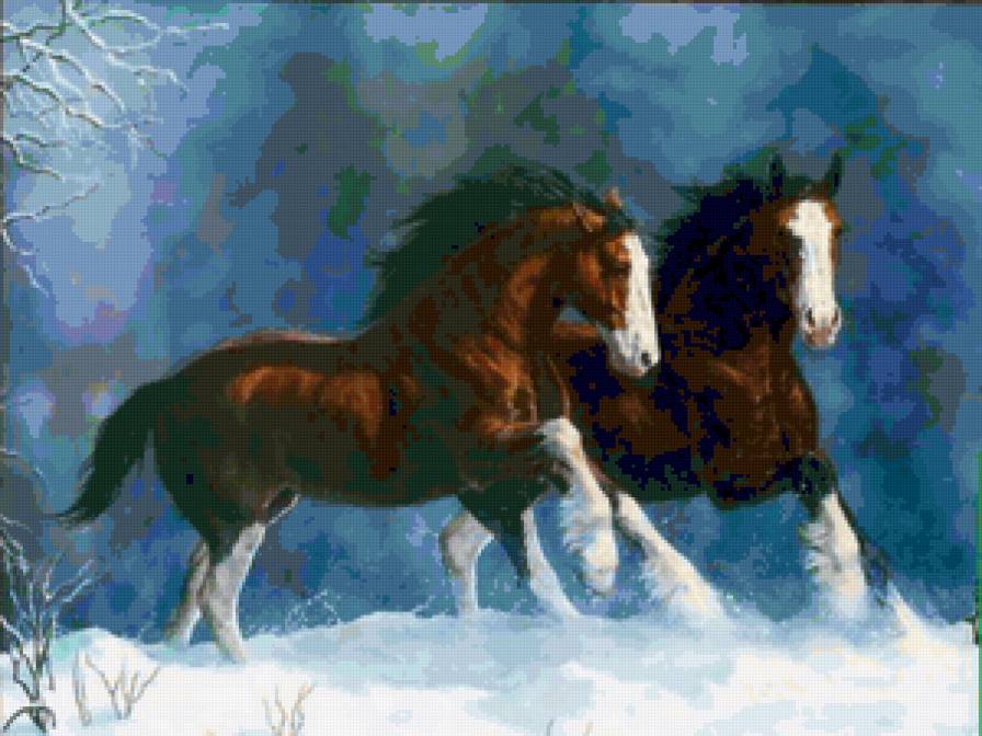 Бегущие лошади - лошади, зима, снег, животные - предпросмотр