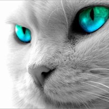 Оригинал схемы вышивки «кот с голубыми глазами» (№88512)