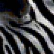 Предпросмотр схемы вышивки «зебра» (№88518)