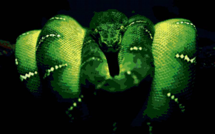 зеленая змея - змеи - предпросмотр