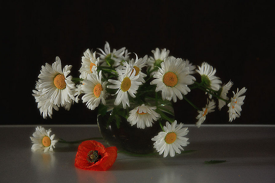 Ромашки - натюрморт, букет, цветы в вазе - оригинал