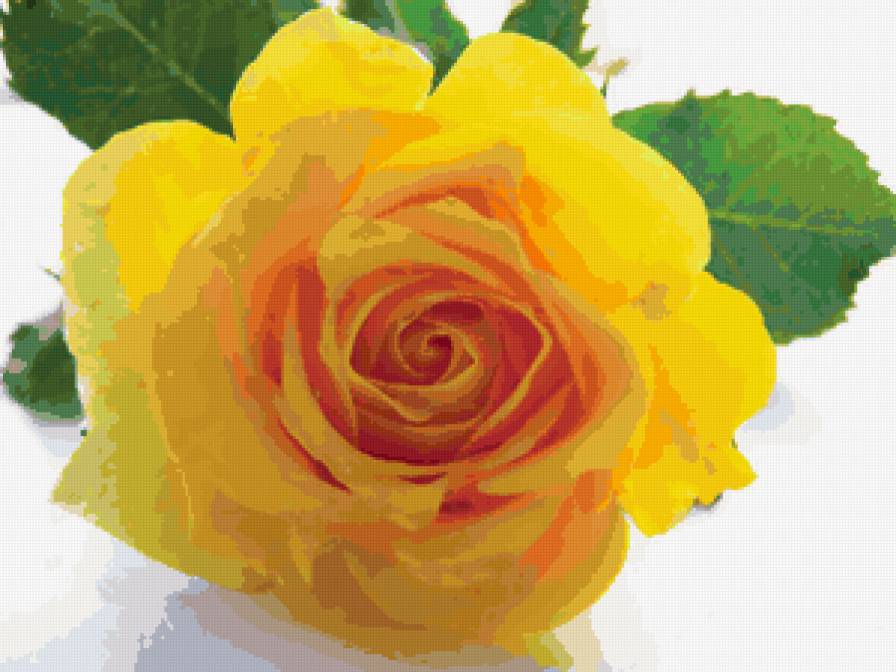 Желтая роза - цветы - предпросмотр
