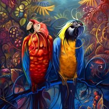 попугайчики
