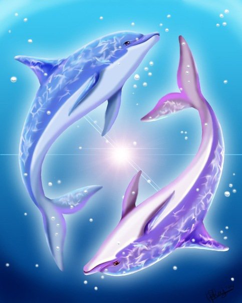дельфины - море, дельфины - оригинал