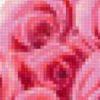 Предпросмотр схемы вышивки «Розы» (№89572)