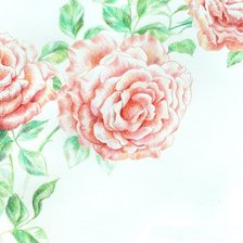Оригинал схемы вышивки «розы» (№90780)