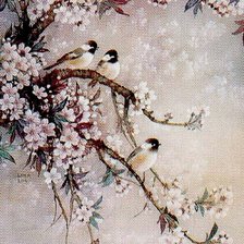 птицы на цветущем дереве