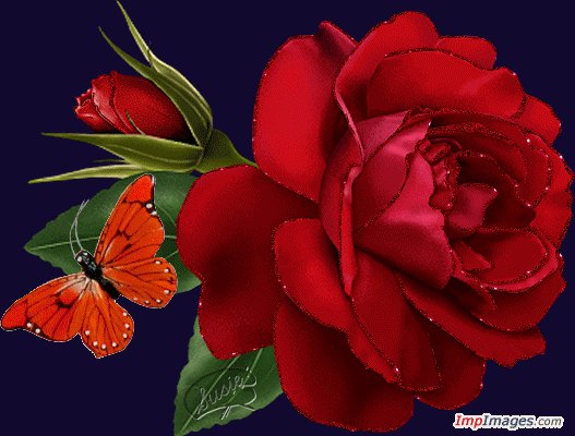 Пион красный - богатство, пион, страсть, красный, цветок - оригинал