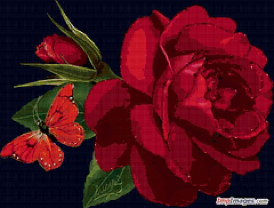 Пион красный - страсть, цветок, красный, пион, богатство - предпросмотр