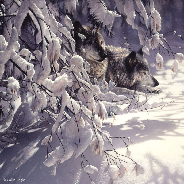 Серия "Волки" - пейзаж, животные, пара, волки, зима - оригинал