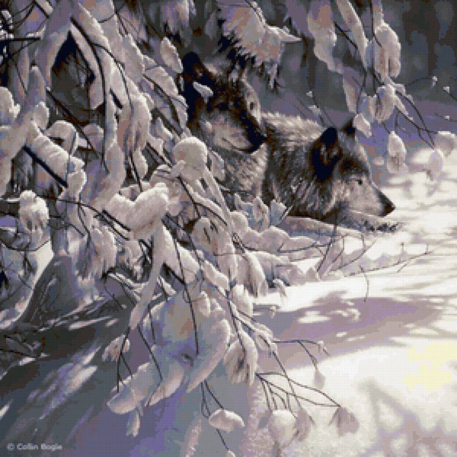 Серия "Волки" - волки, животные, пейзаж, зима, пара - предпросмотр