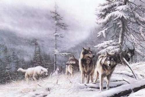 0028 - картина, волки, зима, природа, красота, животные - оригинал