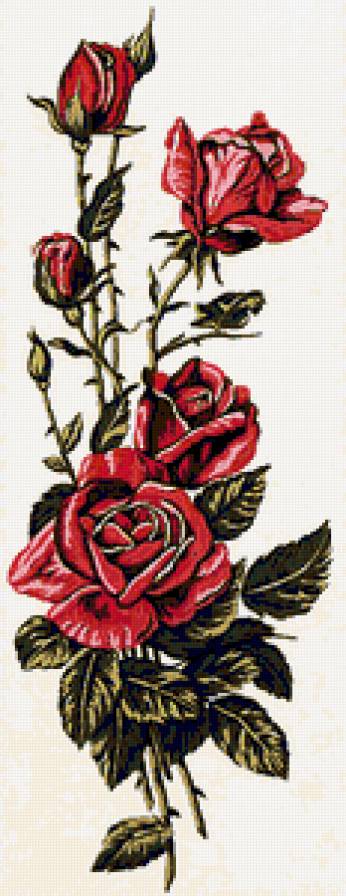 №92290 - розы, цветы, букет, ваза - предпросмотр