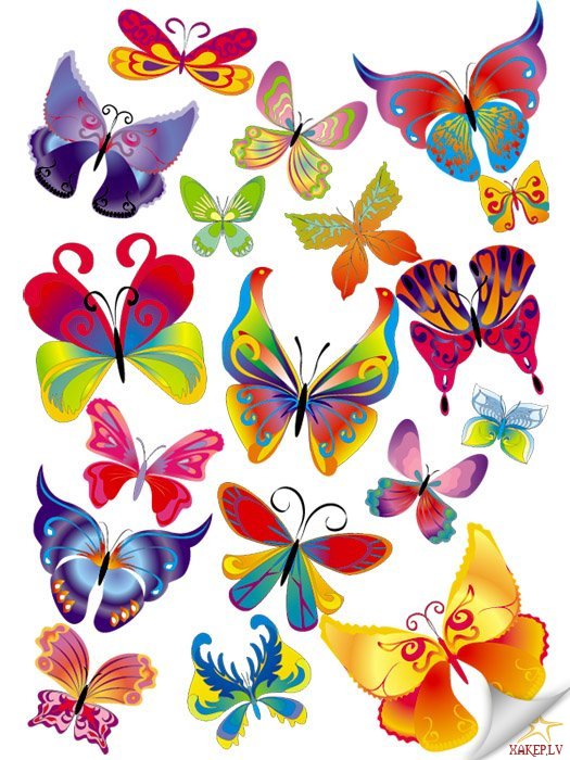 Бабочки - бабочки, для детей, насекомые, полет - оригинал