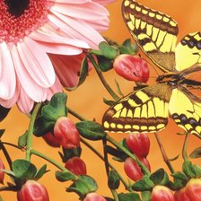 Оригинал схемы вышивки «Бабочка на цветке» (№92301)