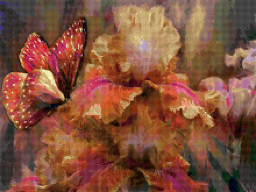 ирис и бабочка - цветы, ирисы, бабочка - предпросмотр
