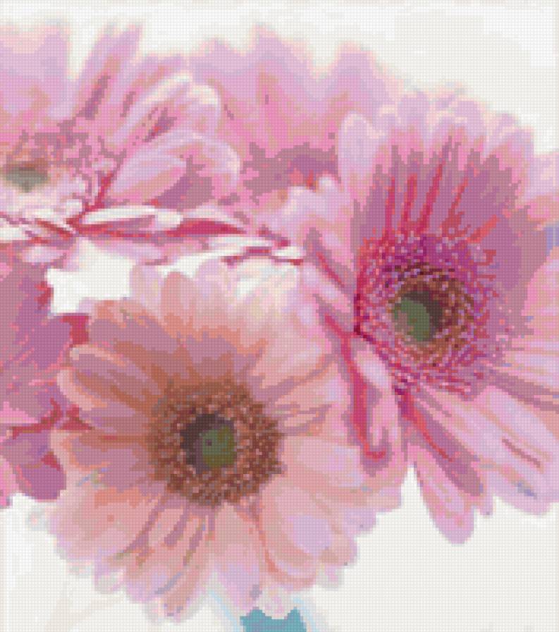 букет розовых гербер - герберы, цветы, букет - предпросмотр