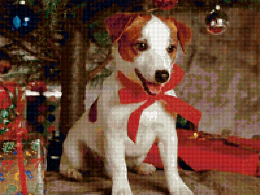 новогодний подарок - праздники, подарок, новый год, собаки - предпросмотр