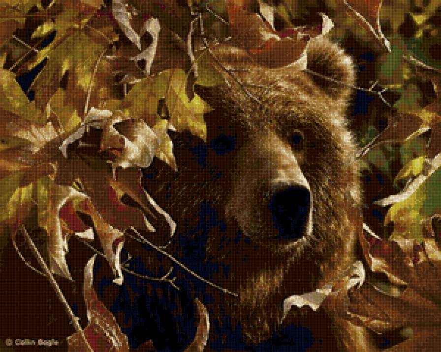 Медведь - осень, медведи, животные - предпросмотр