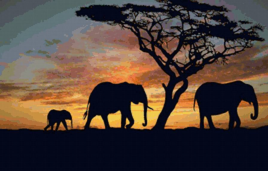 Закат в Саванне - слоны, пейзаж - предпросмотр