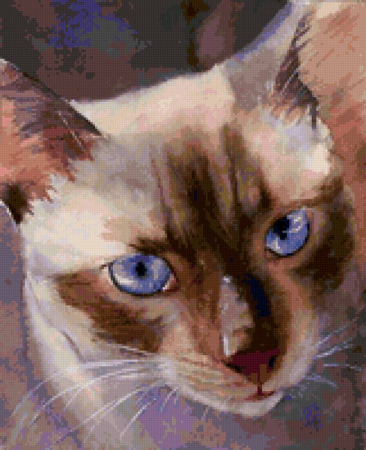 Сиамский кот - кот, сиамский, акварель - предпросмотр