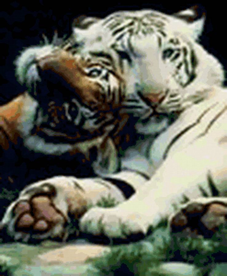 Тигры - кошки, животные, тигры - предпросмотр
