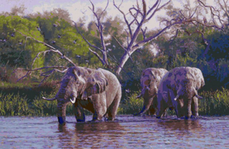 Серия "Индия" - река, пейзаж, слоны, лето, животные - предпросмотр