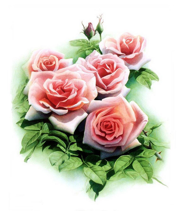 Серия "Цветы" - цветы, розы - оригинал