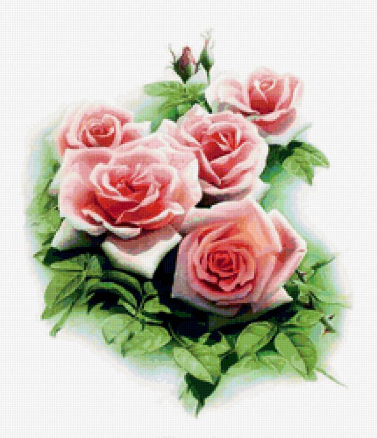 Серия "Цветы" - розы, цветы - предпросмотр