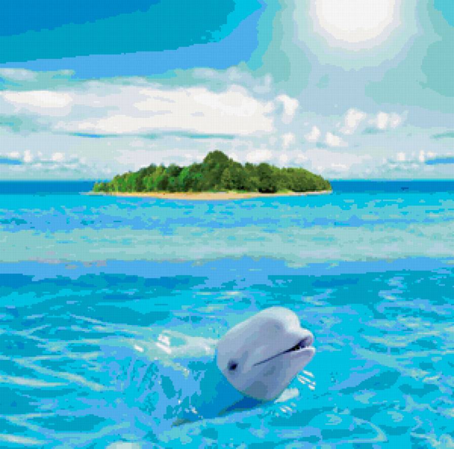 дельфін - предпросмотр