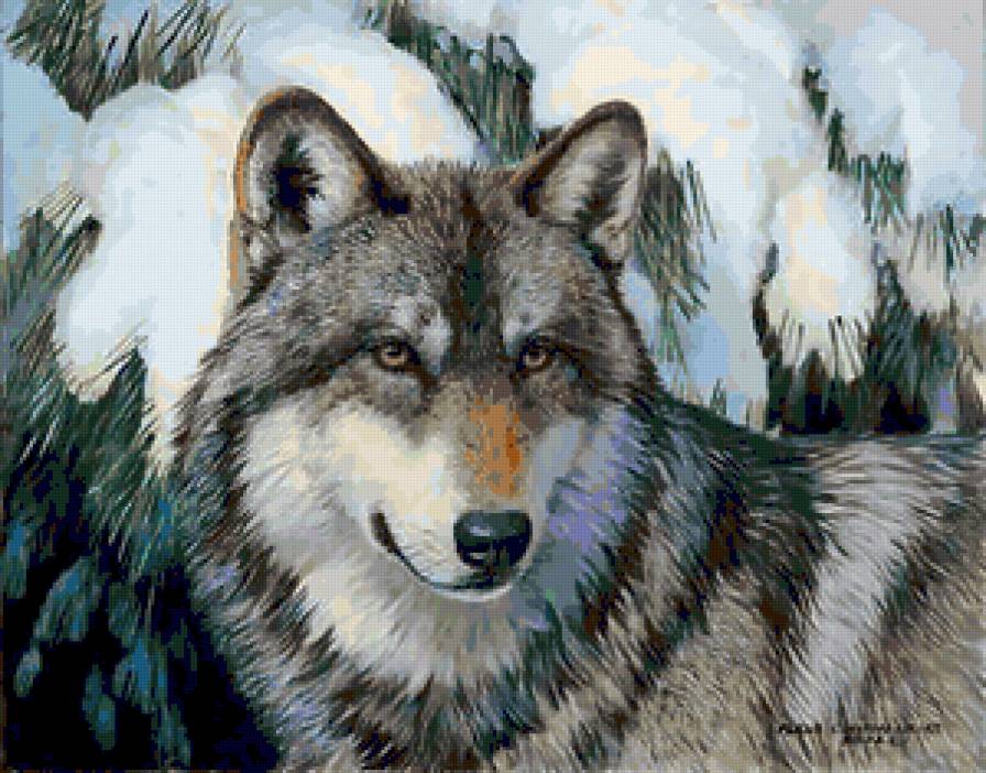 Волк - wolf, хищник, волки, звери, волк, animals, природа. зима - предпросмотр
