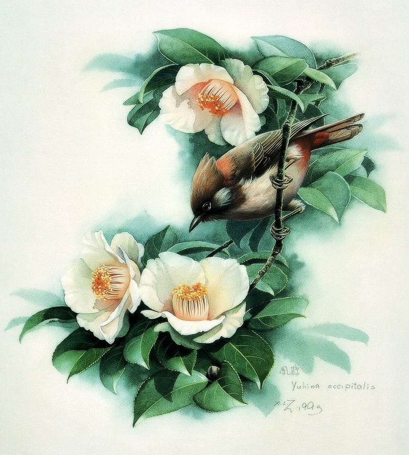 "Птицы"  Зенг Ксиао Лиан - природа, птица, цветы, птицы, акварель, живопись - оригинал