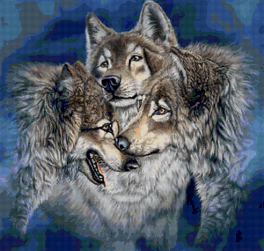 Волки - animals, волк, хищник, звери, природа. зима, wolf, волки - предпросмотр