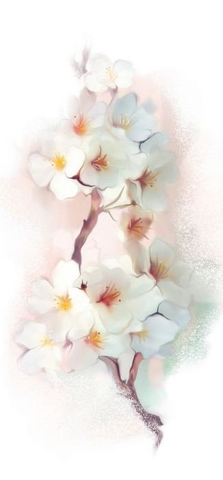 ветка сакуры - акварель, цветы - оригинал