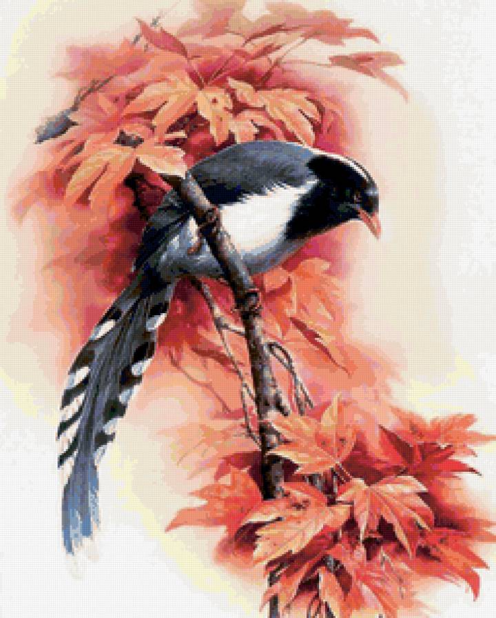Птицы - птицы, природа, анималисты, картина - предпросмотр