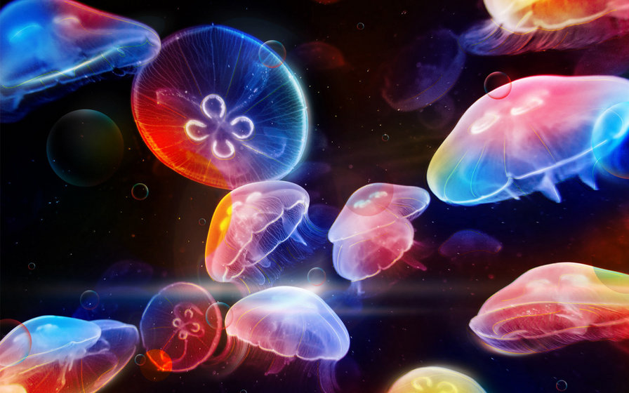 медузы - яркий, море, медузы - оригинал