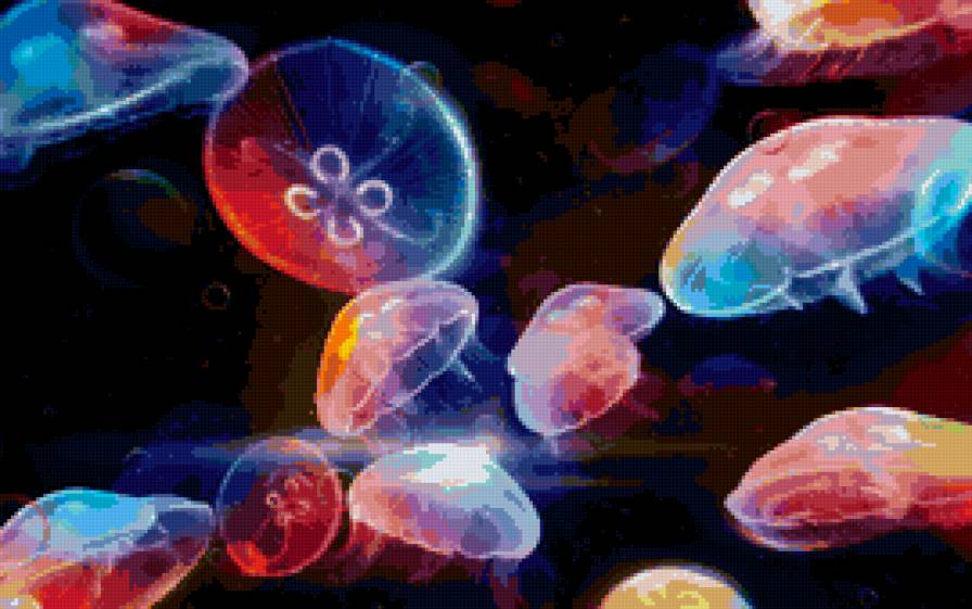 медузы - яркий, медузы, море - предпросмотр