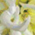 Предпросмотр схемы вышивки «Белая хризантема» (№96080)