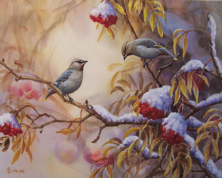 Птицы на рябине - зима, листья, птицы, природа, рябина, на ветке, снег - оригинал