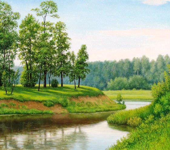 Пейзаж - лето, зелень, природа, река, пейзаж, вода, лес, речка - оригинал