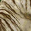 Предпросмотр схемы вышивки «тигры!» (№96453)