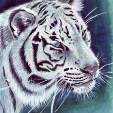 Оригинал схемы вышивки «Белый тигр» (№96475)