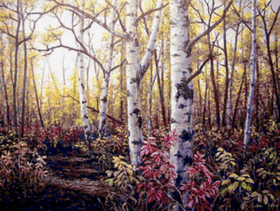 Осенний лес - forest, осень, пейзаж, лес, autumn, природа, nature - предпросмотр